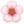 🌸